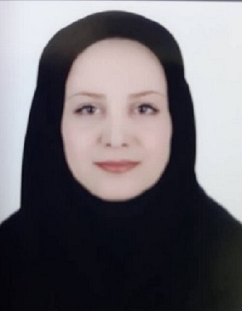 فدراسیون ورزش های رزمی